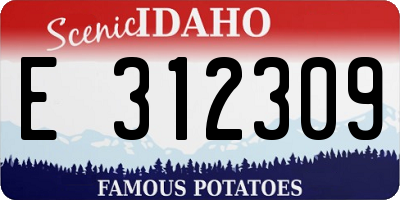 ID license plate E312309
