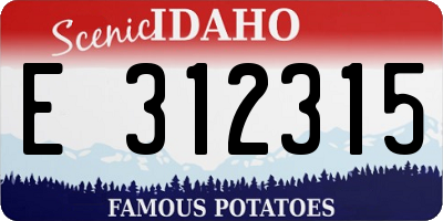 ID license plate E312315
