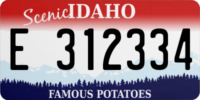 ID license plate E312334