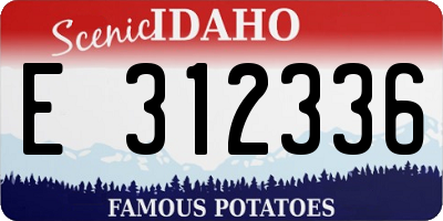 ID license plate E312336