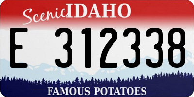 ID license plate E312338