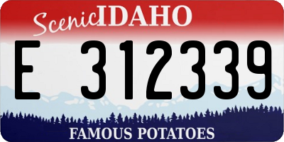 ID license plate E312339