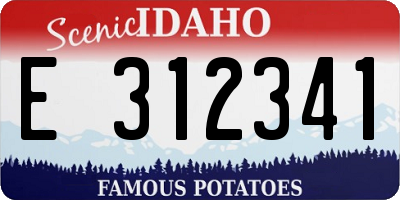 ID license plate E312341