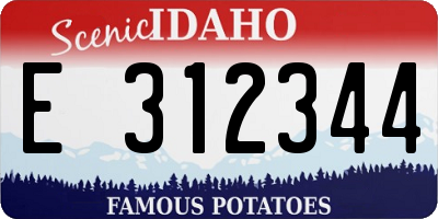 ID license plate E312344