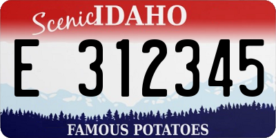 ID license plate E312345