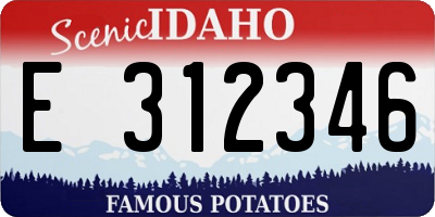 ID license plate E312346