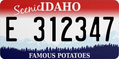 ID license plate E312347