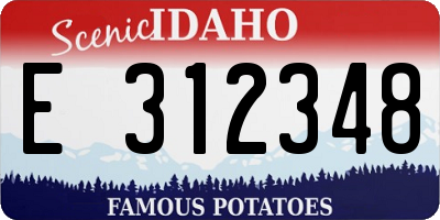 ID license plate E312348
