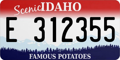 ID license plate E312355