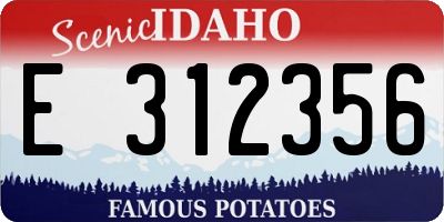 ID license plate E312356