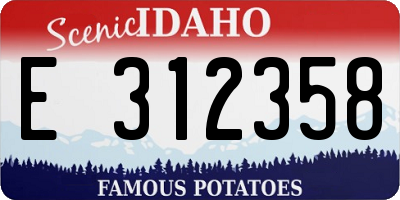 ID license plate E312358