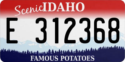 ID license plate E312368