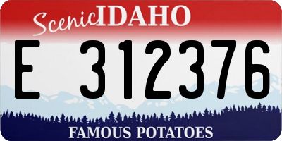 ID license plate E312376