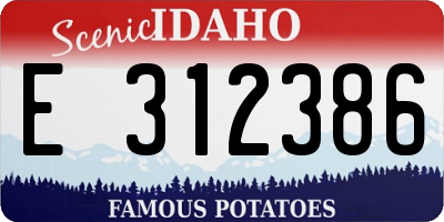 ID license plate E312386