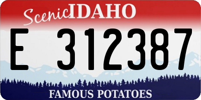 ID license plate E312387