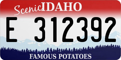 ID license plate E312392