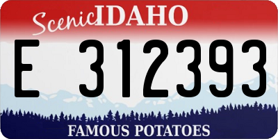 ID license plate E312393