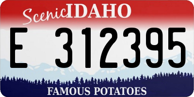 ID license plate E312395