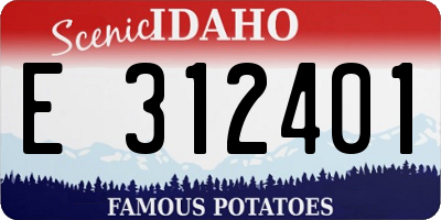 ID license plate E312401