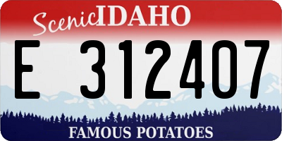 ID license plate E312407