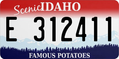ID license plate E312411