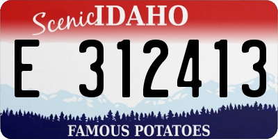 ID license plate E312413