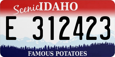 ID license plate E312423