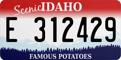 ID license plate E312429