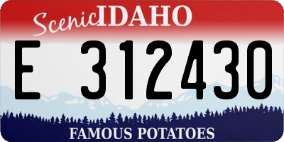 ID license plate E312430