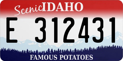 ID license plate E312431