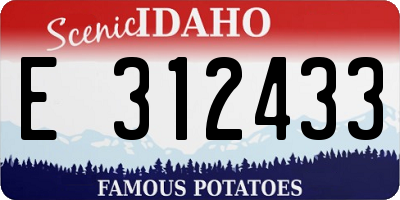 ID license plate E312433
