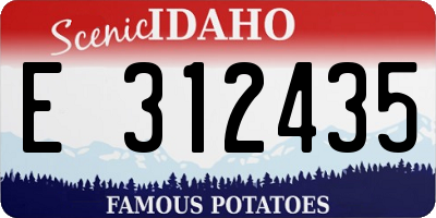 ID license plate E312435