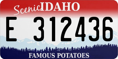 ID license plate E312436