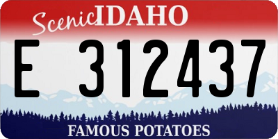 ID license plate E312437
