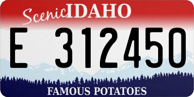 ID license plate E312450
