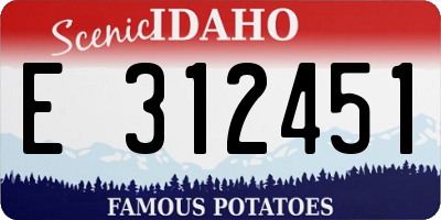 ID license plate E312451