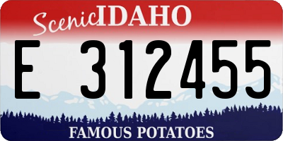 ID license plate E312455