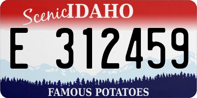 ID license plate E312459