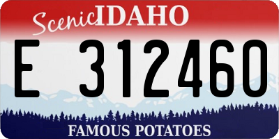 ID license plate E312460