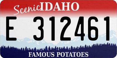 ID license plate E312461