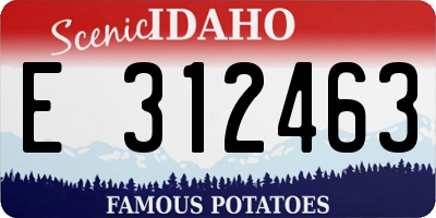 ID license plate E312463