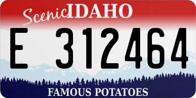 ID license plate E312464