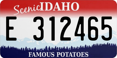 ID license plate E312465