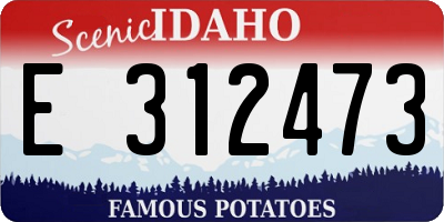 ID license plate E312473