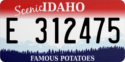 ID license plate E312475