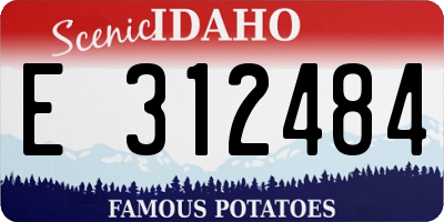 ID license plate E312484