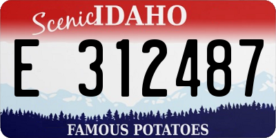 ID license plate E312487