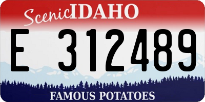 ID license plate E312489