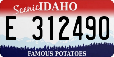 ID license plate E312490