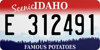 ID license plate E312491